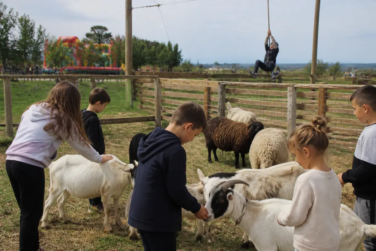 Ferme pédagogique à Toulouse : 6 lieux à visiter en famille