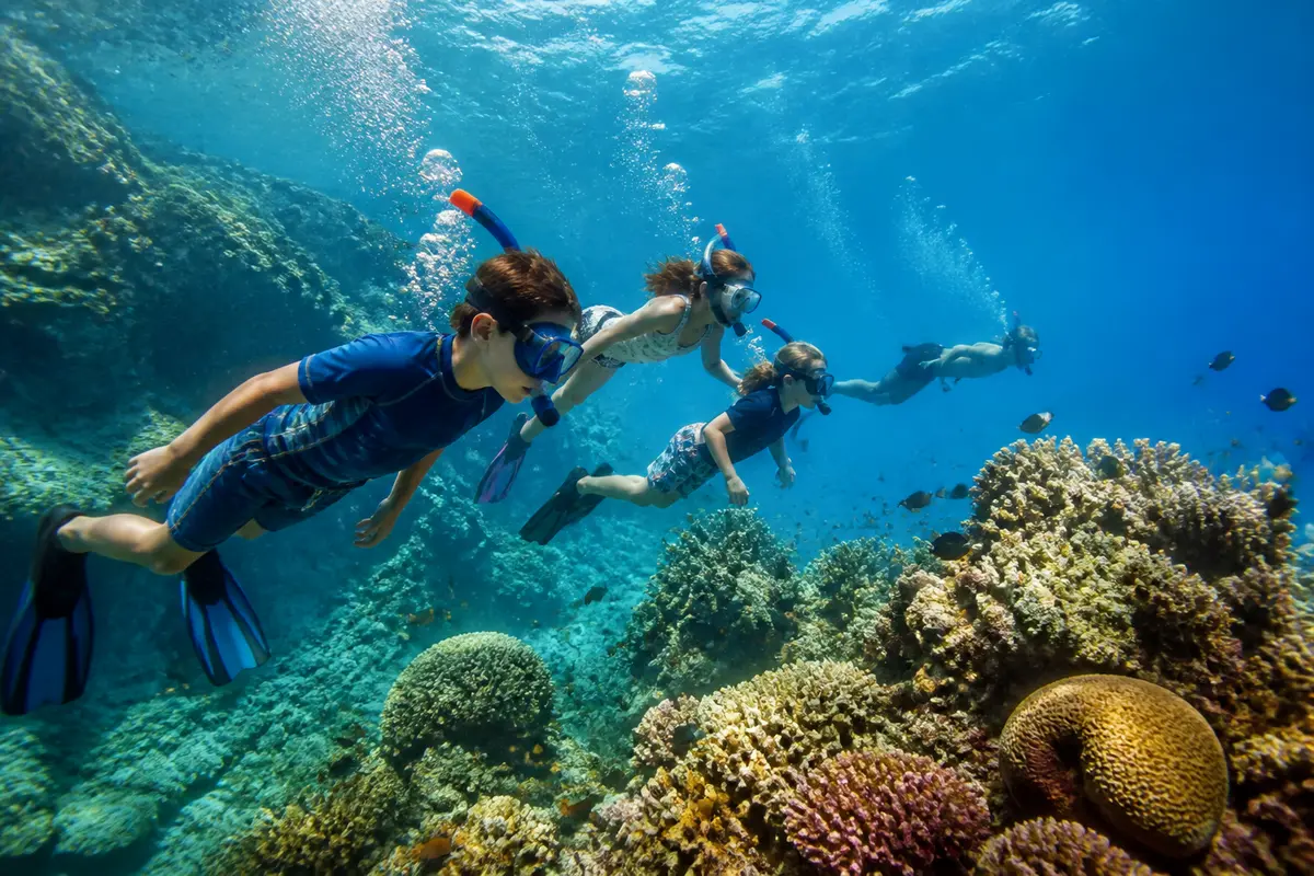 Snorkeling et plongée avec palmes, masque &amp; tuba en colo : Top spots !